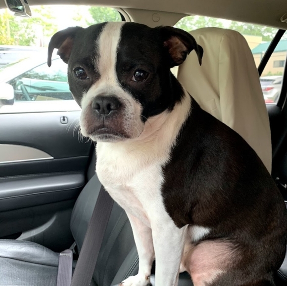 Meet your Posher, Gayla - Picture 5 of 6